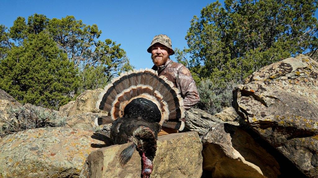 Colorado Turkey Hunts Guided