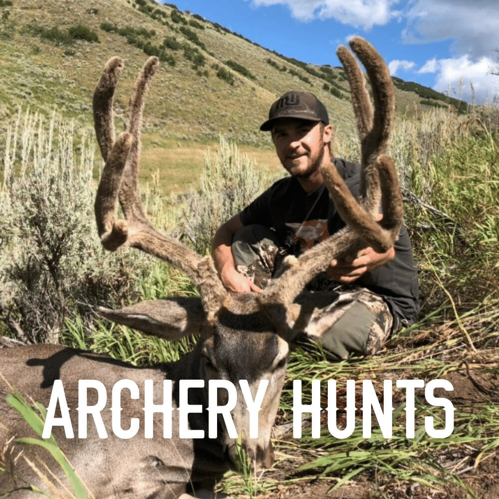 Colorado Archery Mule Deer Hunts