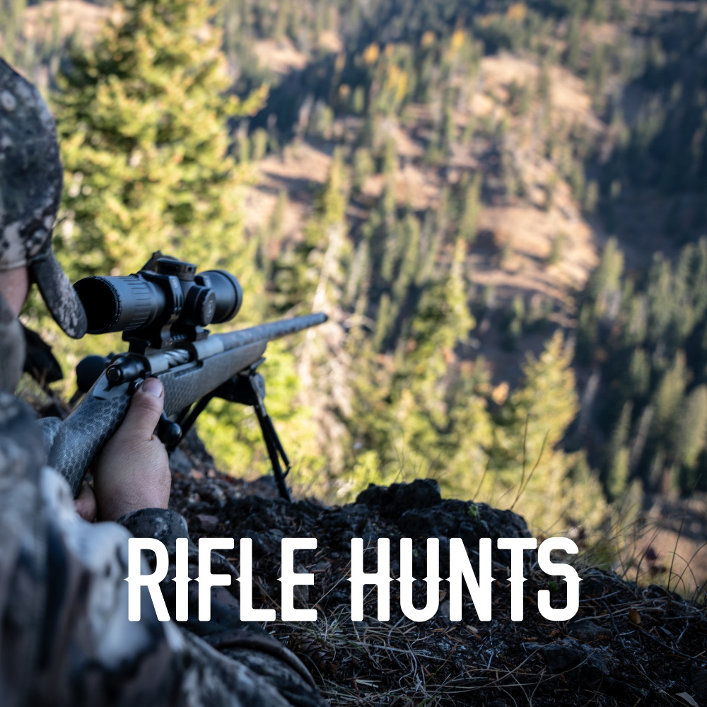 CO Rifle Elk Hunts