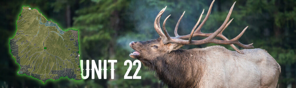 Colorado Unit 22 Hunting Guides