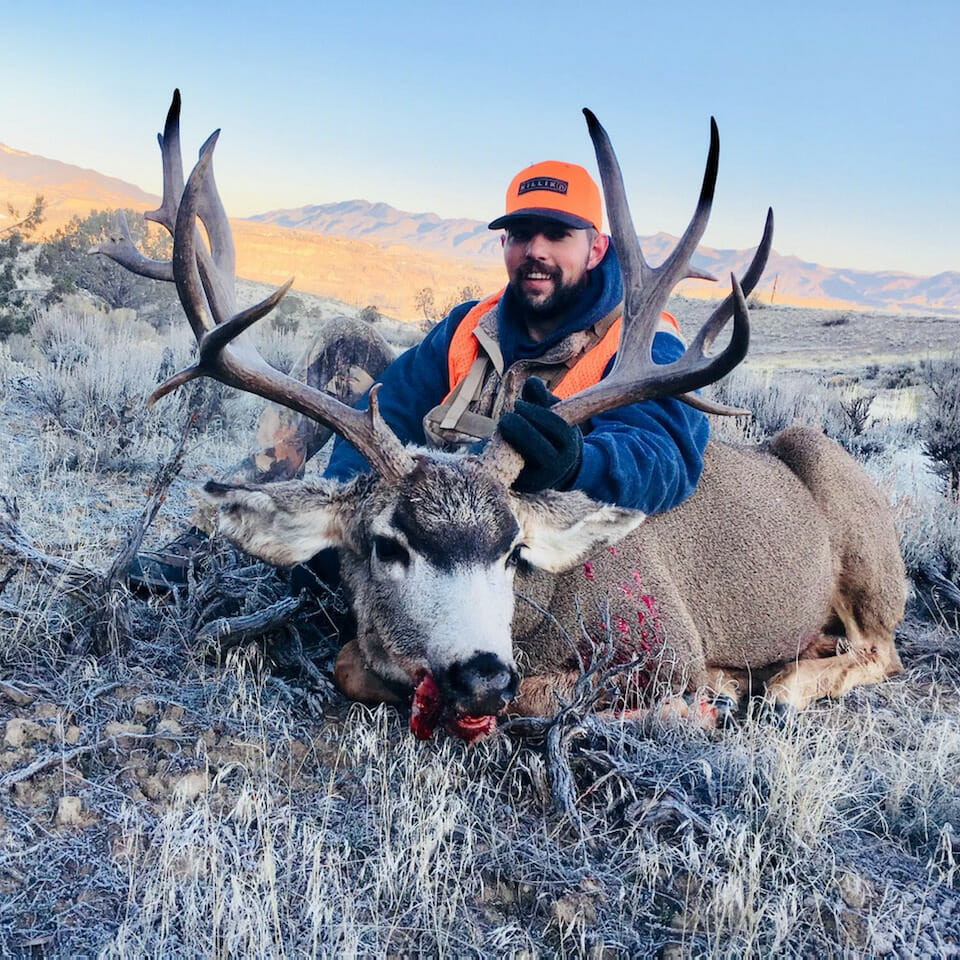 Colorado Outfitter for Mule Deer