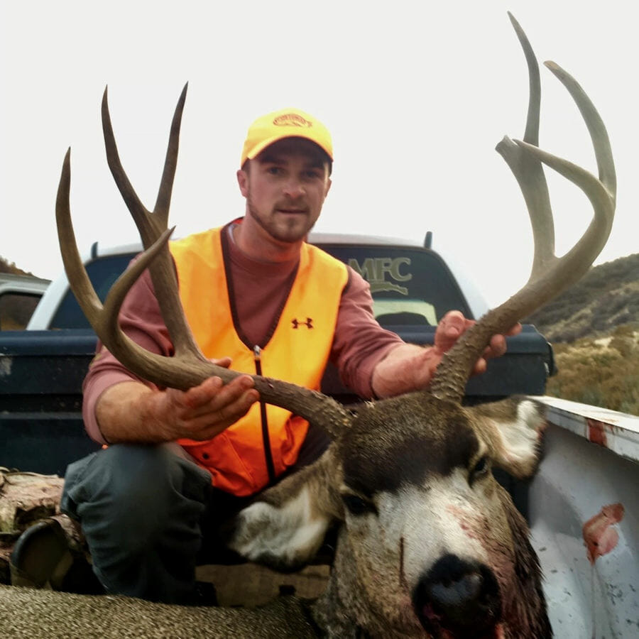 Big Mule Deer Buck in Colorado