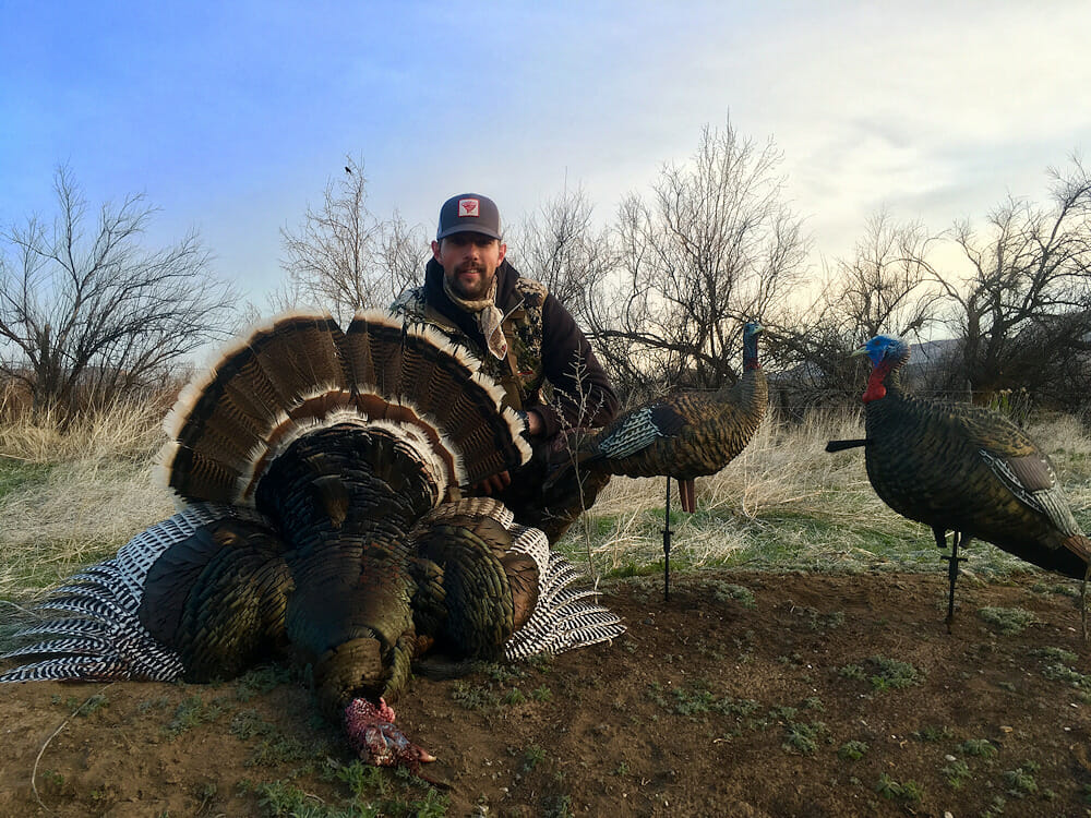 Western Colorado Turkey Hunting