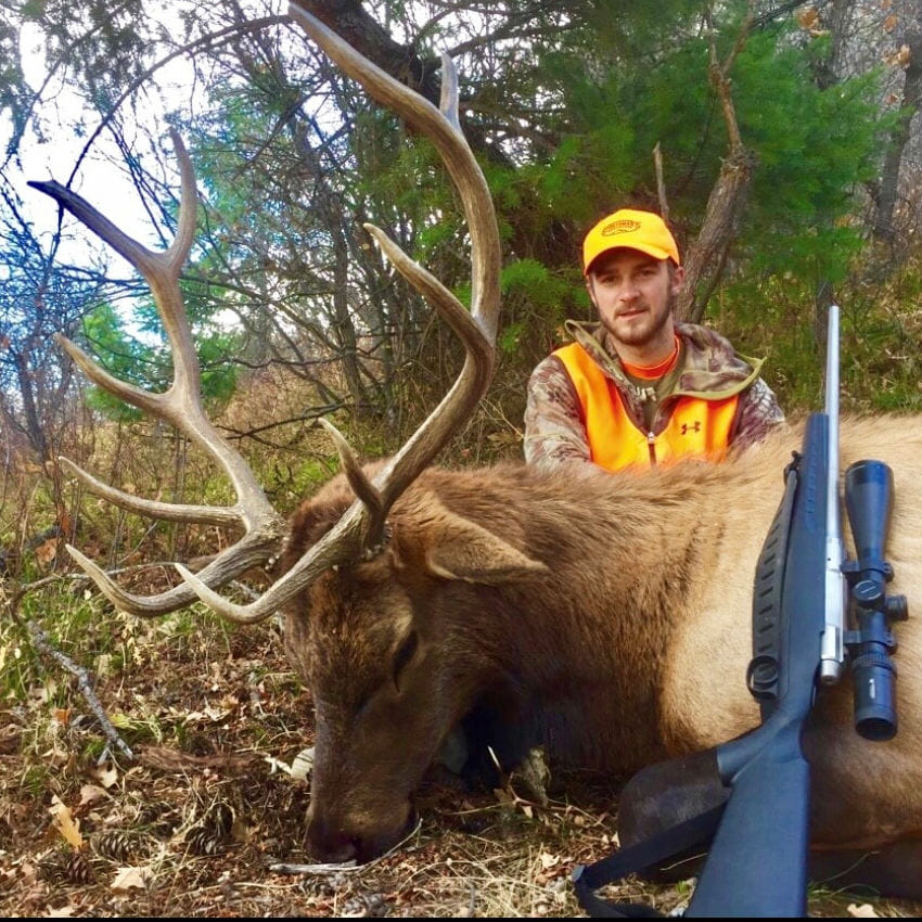 Rifle Elk Hunting in Colorado with Outfitters