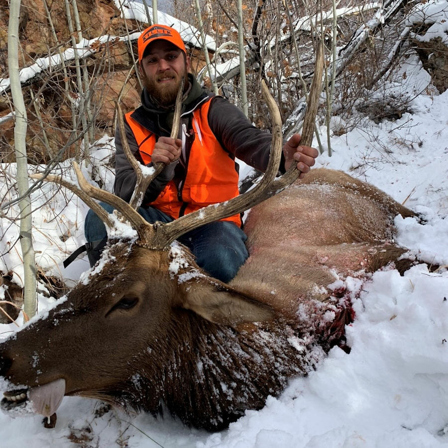 Colorado Elk Hunting Outfitter