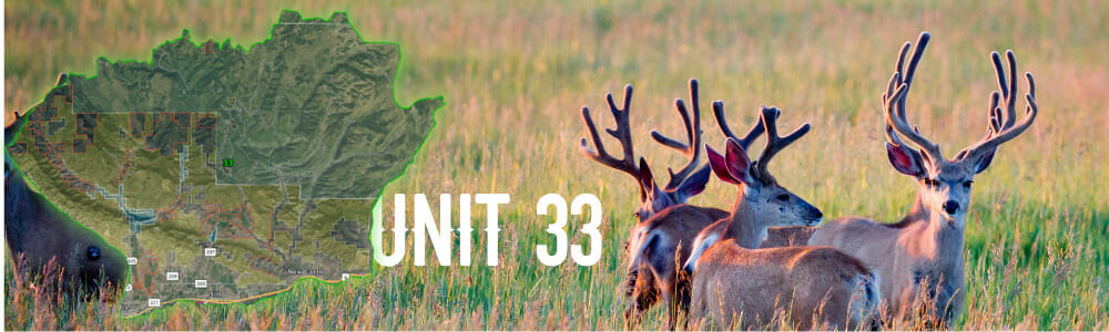 Colorado Unit 33 Hunting Guides & Outfitters