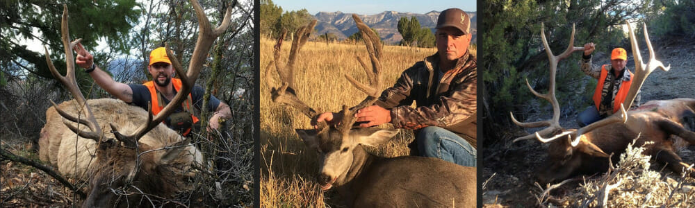 Colorado Outfitter Cost Hunting