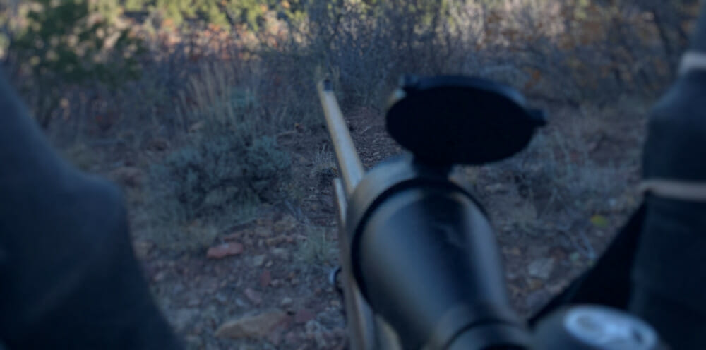 Savage Rifle For Hunting Elk In Colorado