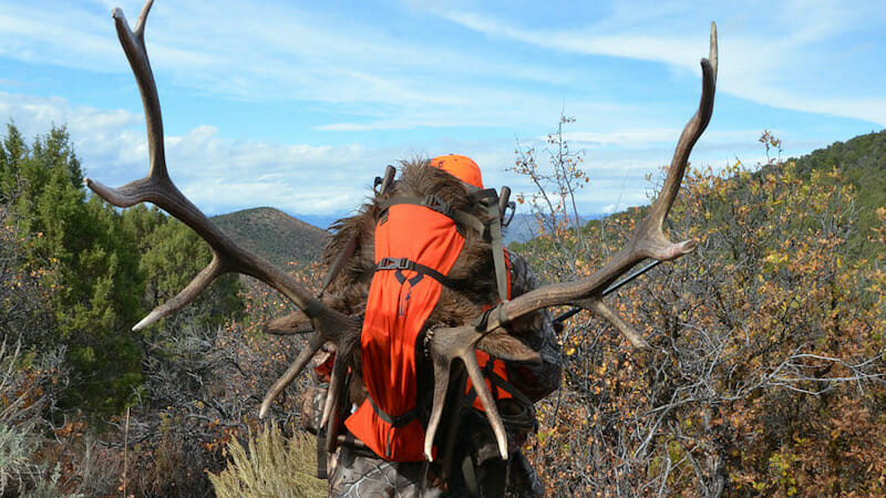 Unit 22 Colorado Rifle Elk Hunting Trip