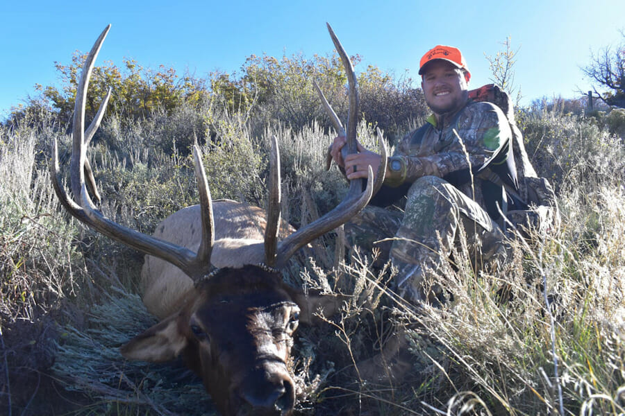 1st Rifle Elk Hunt In Colorado