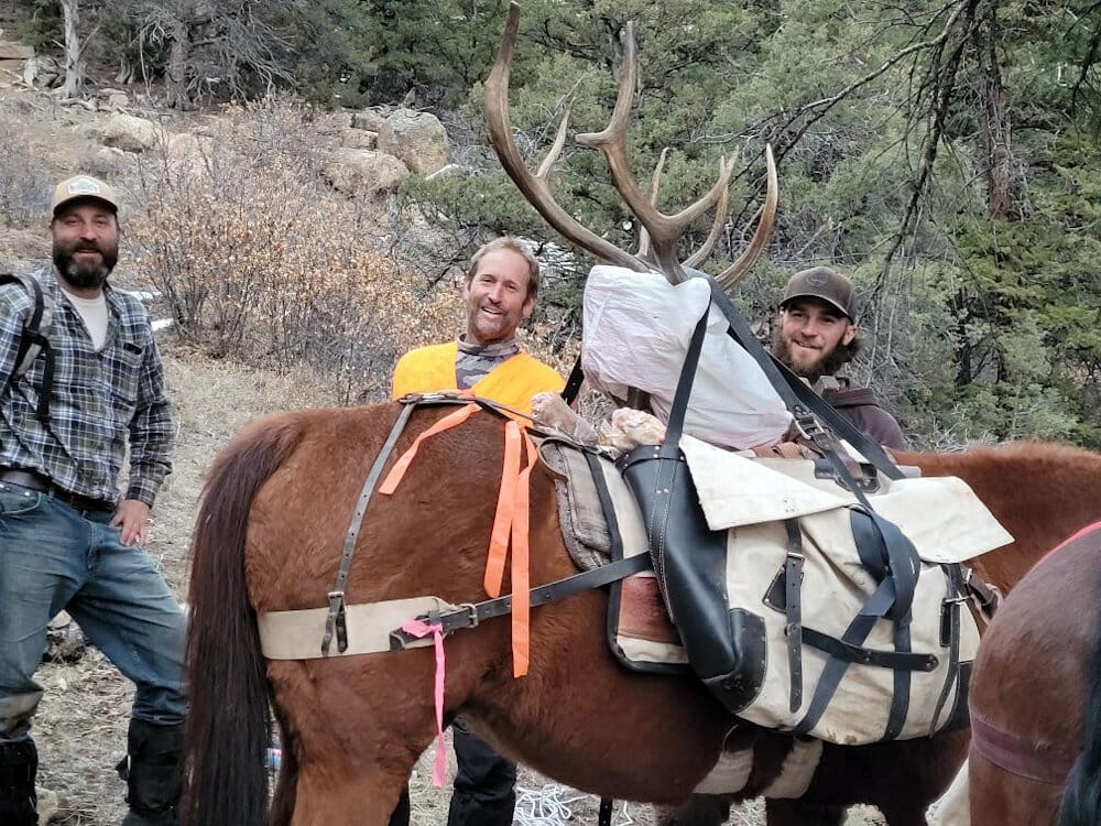 Packing Out Elk On Horses in Colorado