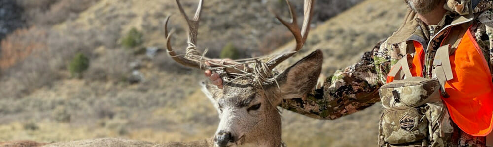 Deer Hunt Colorado With Reverse 7 L Outfitters