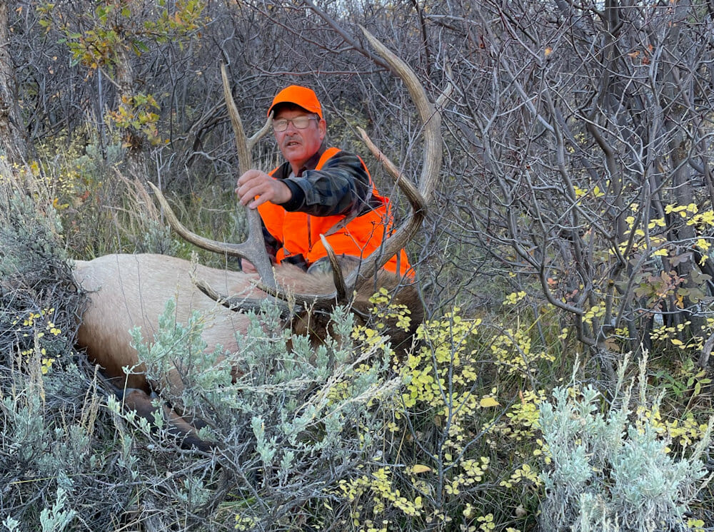 Fully Guided Colorado Elk Hunts