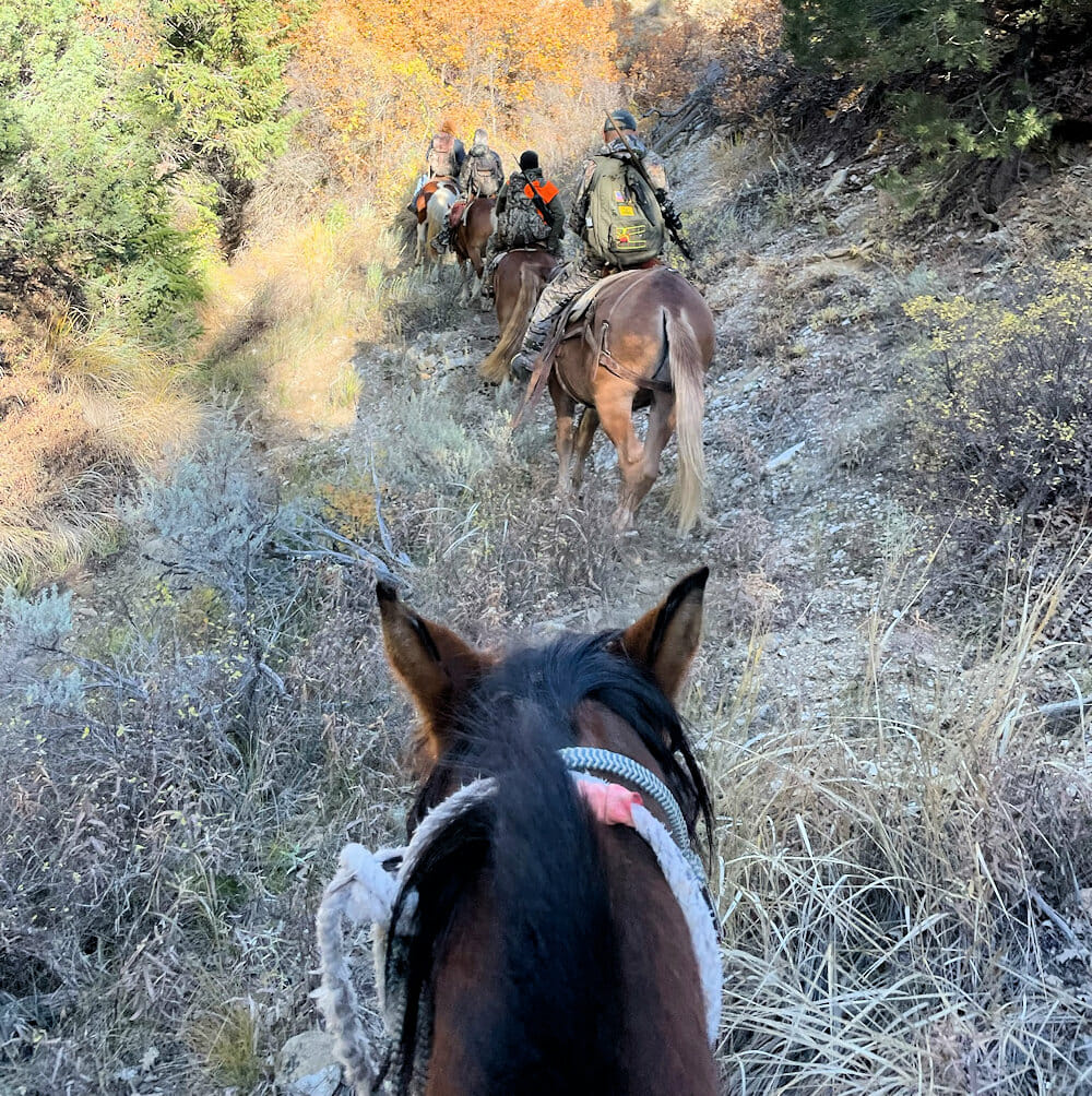 Hunters Riding In To Hunt On Horses