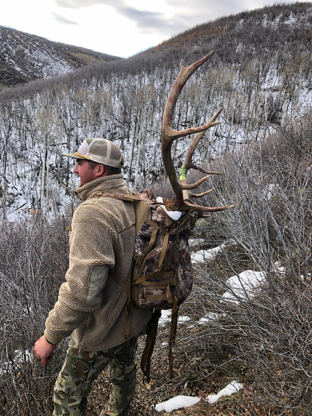 Packing Out Elk In Colorado