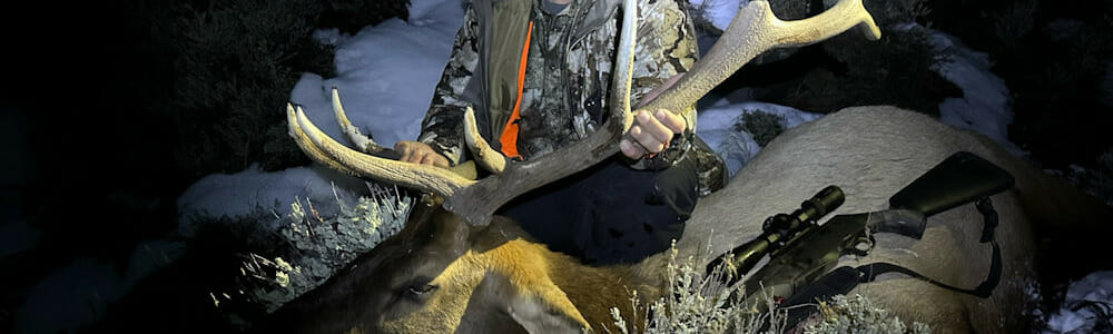 Colorado Rifle Elk Outfitters