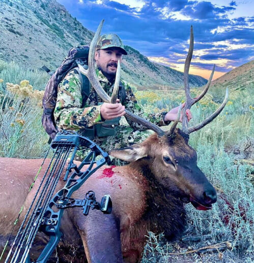 2023 Archery Elk Success In Colorado