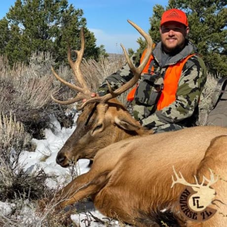 First Rifle Elk Hunt In Western Colorado.