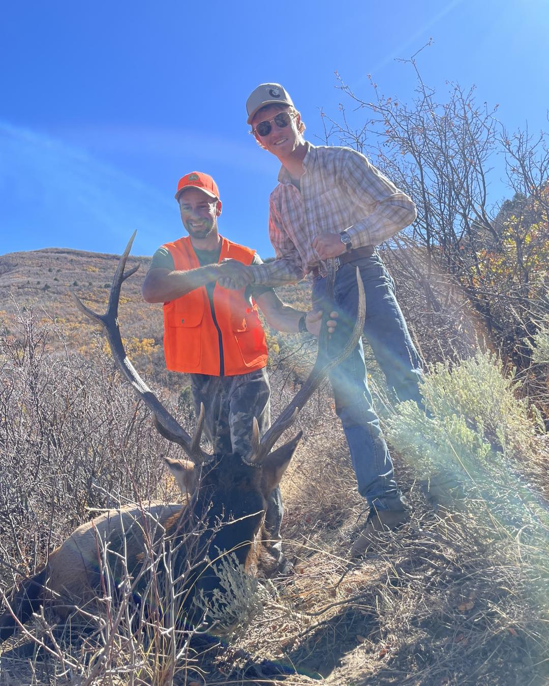 Rifle Season Elk Hunts In Colorado 2nd Season