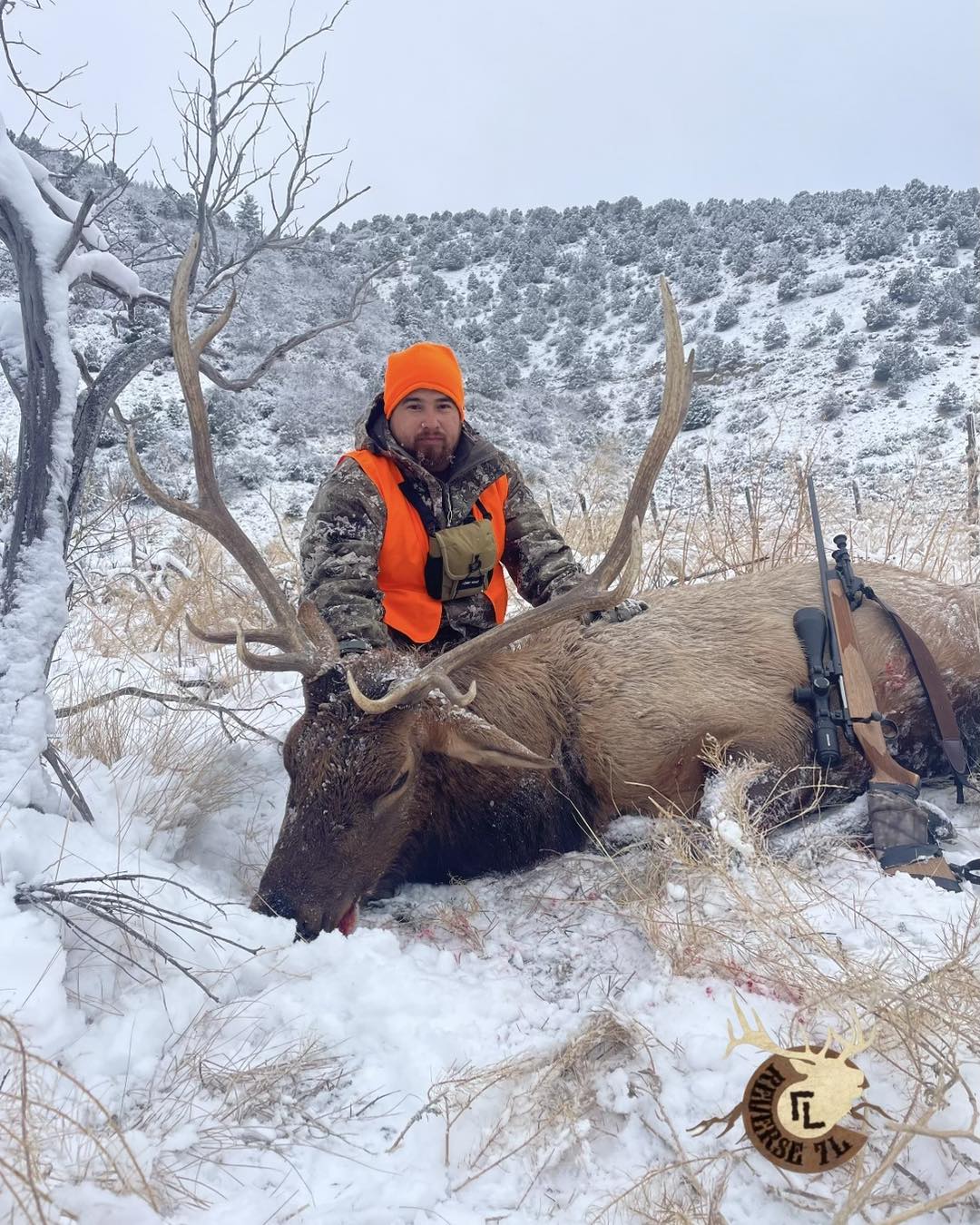 Colorado Guided 2nd Season Elk Hunt On Private Land