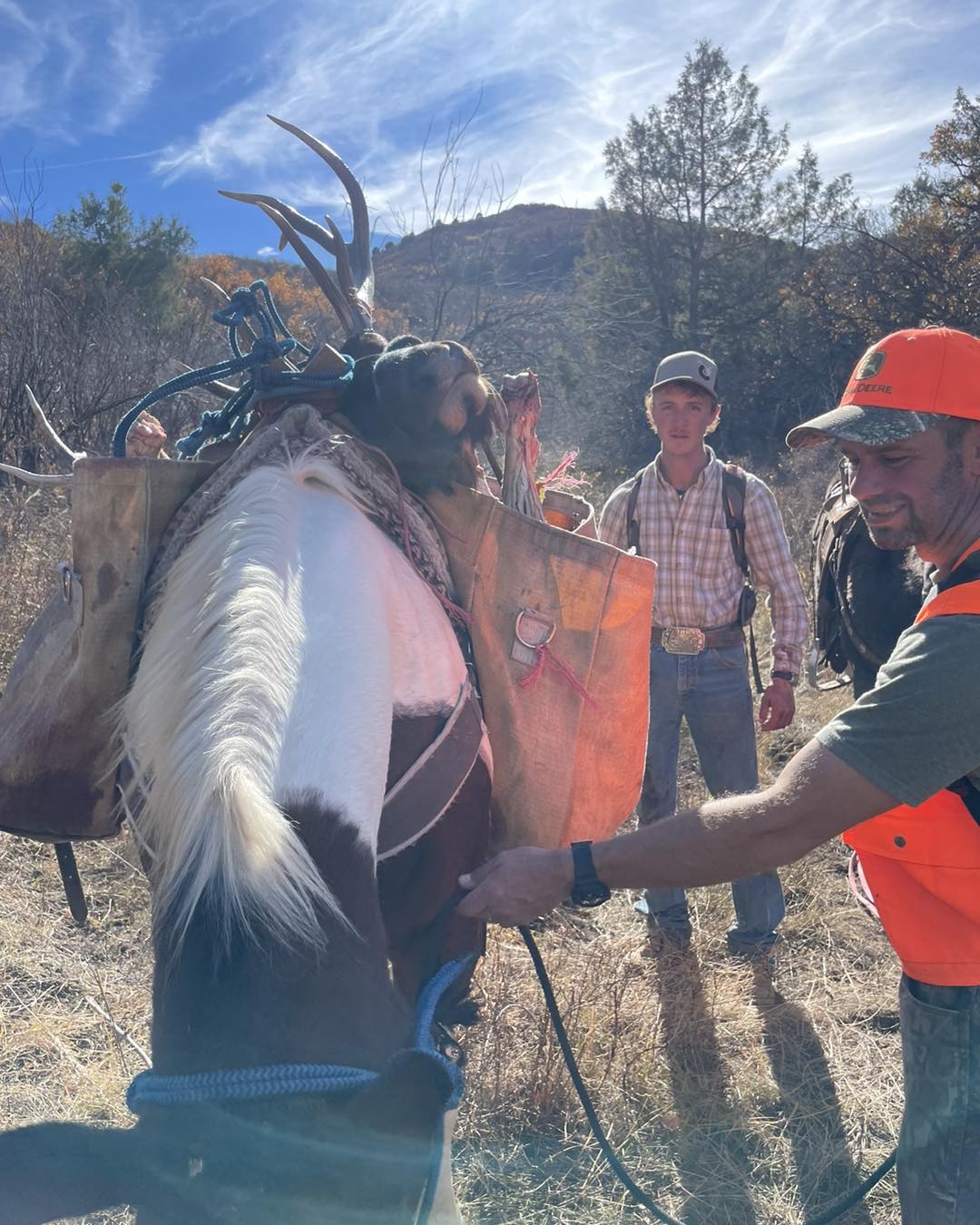 2nd Season Rifle Elk Colorado Success