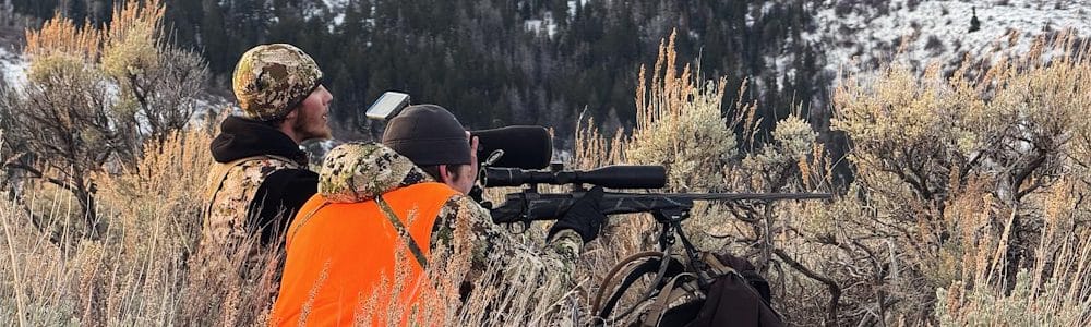Rifle Elk Hunting With A Guide In Colorado